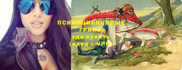 дживик Алексеевка