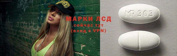 гашик Алексин
