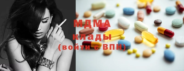 гашик Алексин