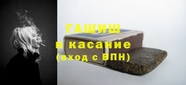 гашик Алексин