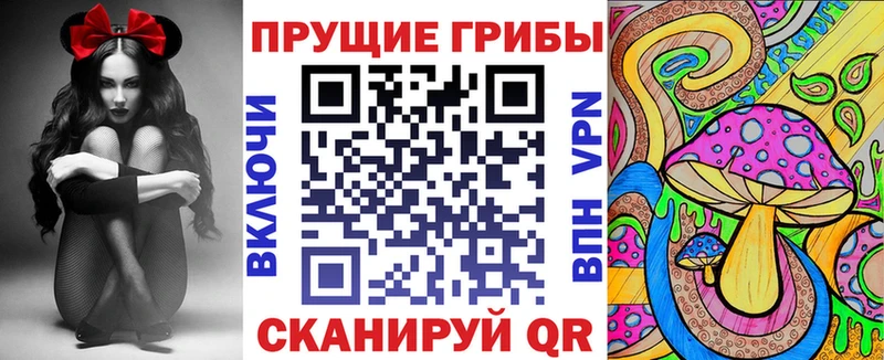 Галлюциногенные грибы прущие грибы  Елец 